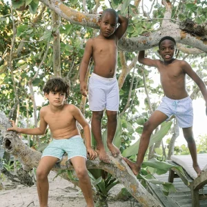 minnow Board Shorts<Boys Board Short Bay Lavender