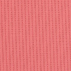 minnow Briefs<Boys Brief New England Red