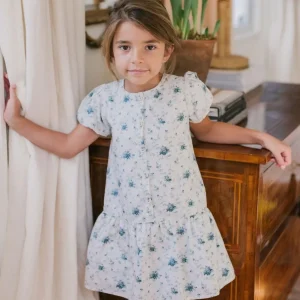 minnow Dresses<Girls Brock Collection X Drop Waist Dress Classic Fleur